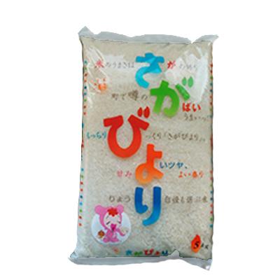 ふるさと納税 嬉野市 令和7年産米　佐賀県嬉野産　さがびより5kg