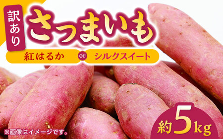 【先行予約】さつまいも 紅はるか or シルクスイート 蜜芋 5kg【合同会社 福福堂】さつまいも サツマイモ さつま芋 熊本県産さつまいも 国産さつまいも 焼き芋 やきいも  [ZCN013]