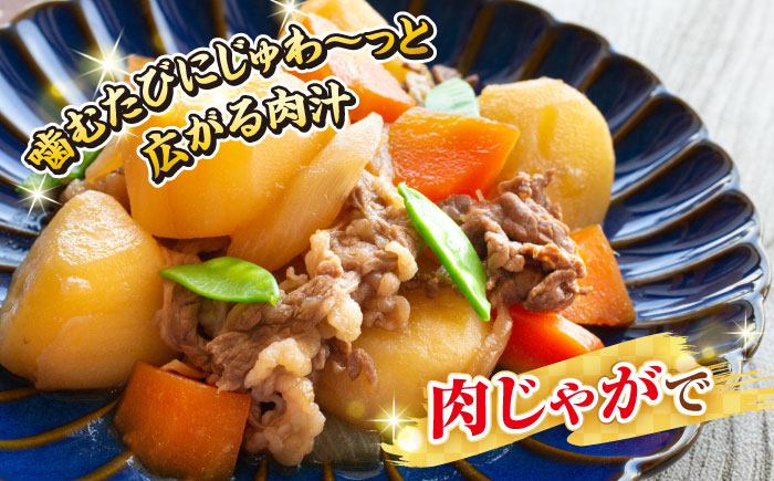 【全6回定期便】【訳あり】【A4~A5ランク】長崎和牛 切り落とし 1kg(500g×2パック）《壱岐市》【株式会社MEAT PLUS】 肉 牛肉 黒毛和牛 焼き肉 ご褒美 冷凍配送 訳あり A5 黒