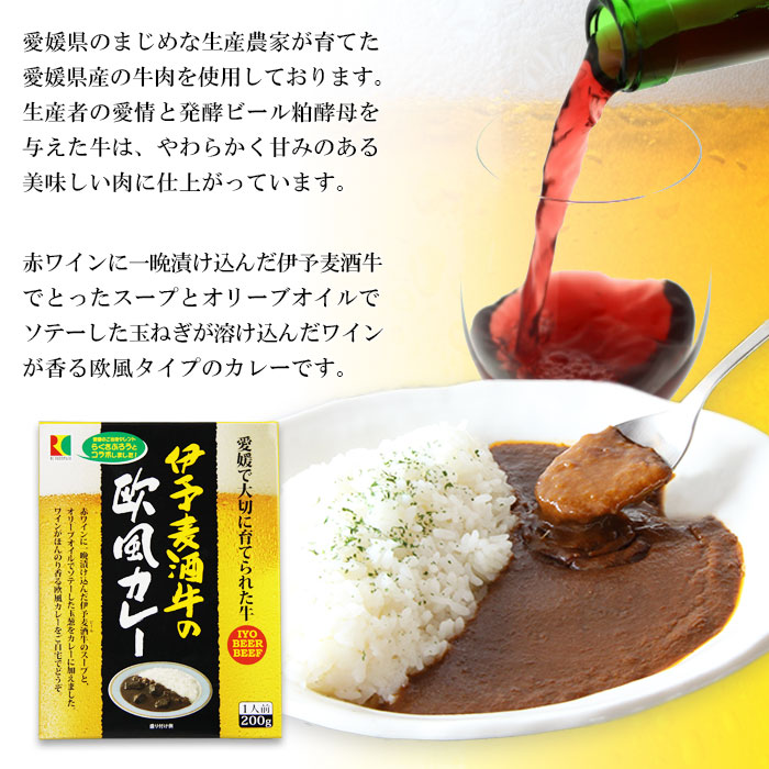 ご当地カレー「伊予麦酒牛の欧風カレー」