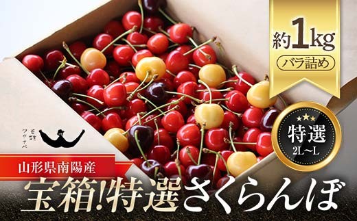 
                  【令和9年産先行予約】 宝箱！特選 さくらんぼ 3種 約1kg （特選 L～2L） バラ詰め 《令和9年6月中旬～発送》 『最上園』 サクランボ 佐藤錦 紅秀峰 やまがた紅王 月山錦 サミット 食べ比べ 果物 フルーツ 産地直送 山形県 南陽市 ［1337］
                