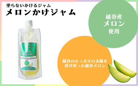 定番のかけジャムパウチパック3種類セット ／ 掛けるジャム 新感覚 いちごジャム メロンジャム ブルーベリージャム 携帯 エコ容器 埼玉県 No.245