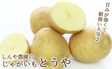 【北海道上富良野町産】しんや農園のじゃがいも「とうや5kg & 男爵5kg」 計10kg
