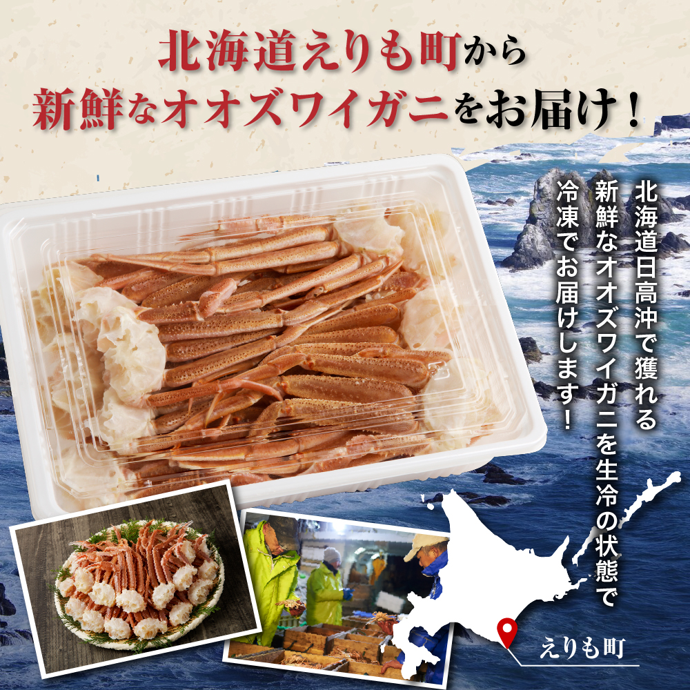 えりも【マルデン特製】生冷オオズワイガニセクション2kg(1kg×2)【er002-050-b】