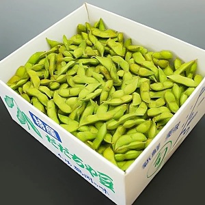 【令和8年産先行予約】一番採れ！神の枝豆と呼ばれた與惣兵衛の【初物だだちゃ豆】1kg　K-831