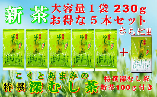 129-05-1 【知覧茶新茶祭り】【期間限定･増量】知覧茶園の特撰深むし茶 大容量 5本セット 特撰深むし茶100g付