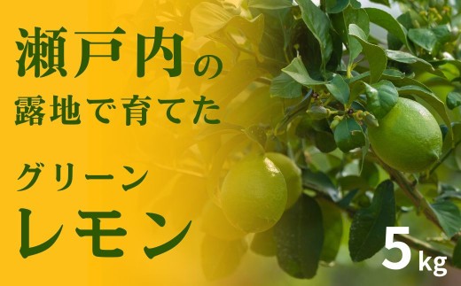 【 先行予約 】 瀬戸内の露地 グリーンレモン 選べる 5kg 【 2026年10月末～11月下旬発送 】 皮まで丸ごと食べられる ワックス不使用 防腐剤不使用 広島 大崎上島 せとうちレモン 岩崎農園 国産 送料無料 産地直送 フルーツ 果物 お取り寄せ 秋 旬