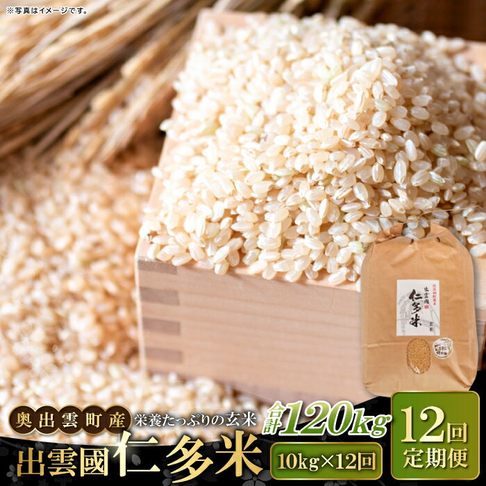【ふるさと納税】 出雲國 仁多米 玄米 定期便 10kg×12回 合計120kg 金賞受賞 コシヒカリ こしひかり 人気 おすすめ ブランド米 お米 米