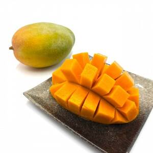 【発送月固定定期便】家庭用マンゴー2種食べ比べ(アップルマンゴー＆キーツマンゴー)全2回【配送不可地域：離島】【4074843】