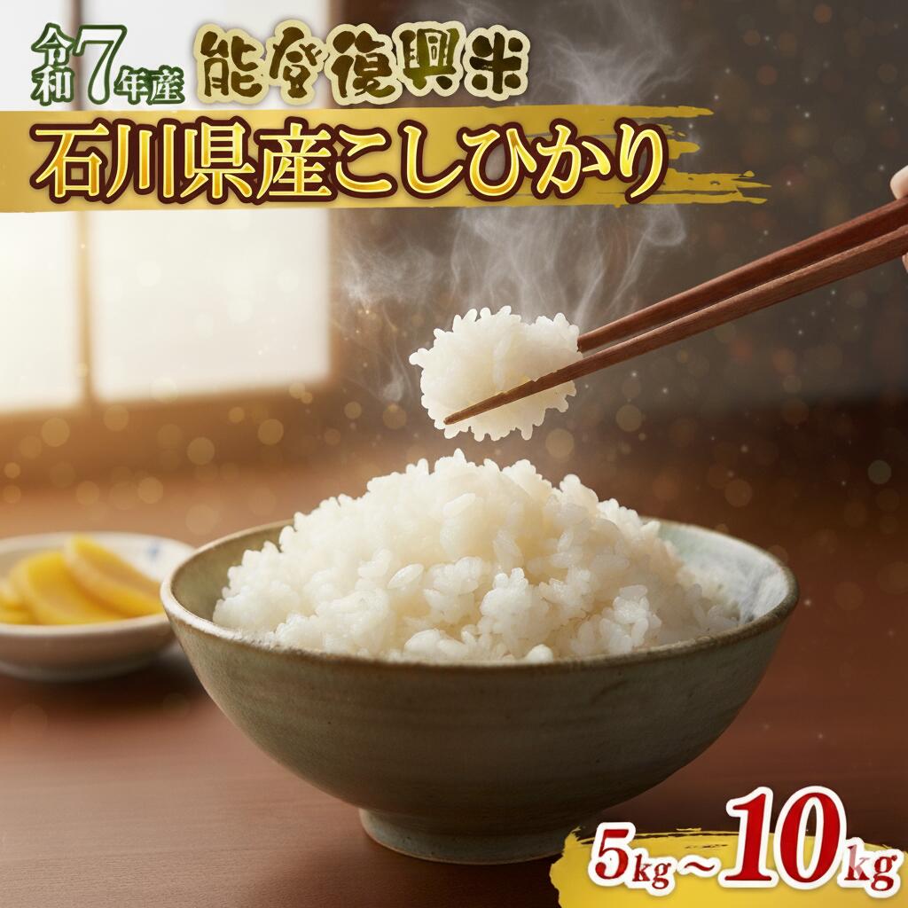 【ふるさと納税】 先行予約 米 こしひかり 令和7年産 選べる 精米 5kg 10kg 石川県産 能登復興米 単品 能登 米 減農 新米 予約 石川県産 能登米 エコ 栽培 白米 コメ お米 2025年産 おこめ 精米 ごはん コシヒカリ おいしい 令和7年 能登 石川県 羽咋 能登 復興支援