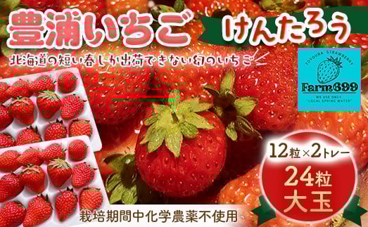 
                  【2026年4月下旬以降順次発送】豊浦いちご 大玉12粒×2トレー 
                