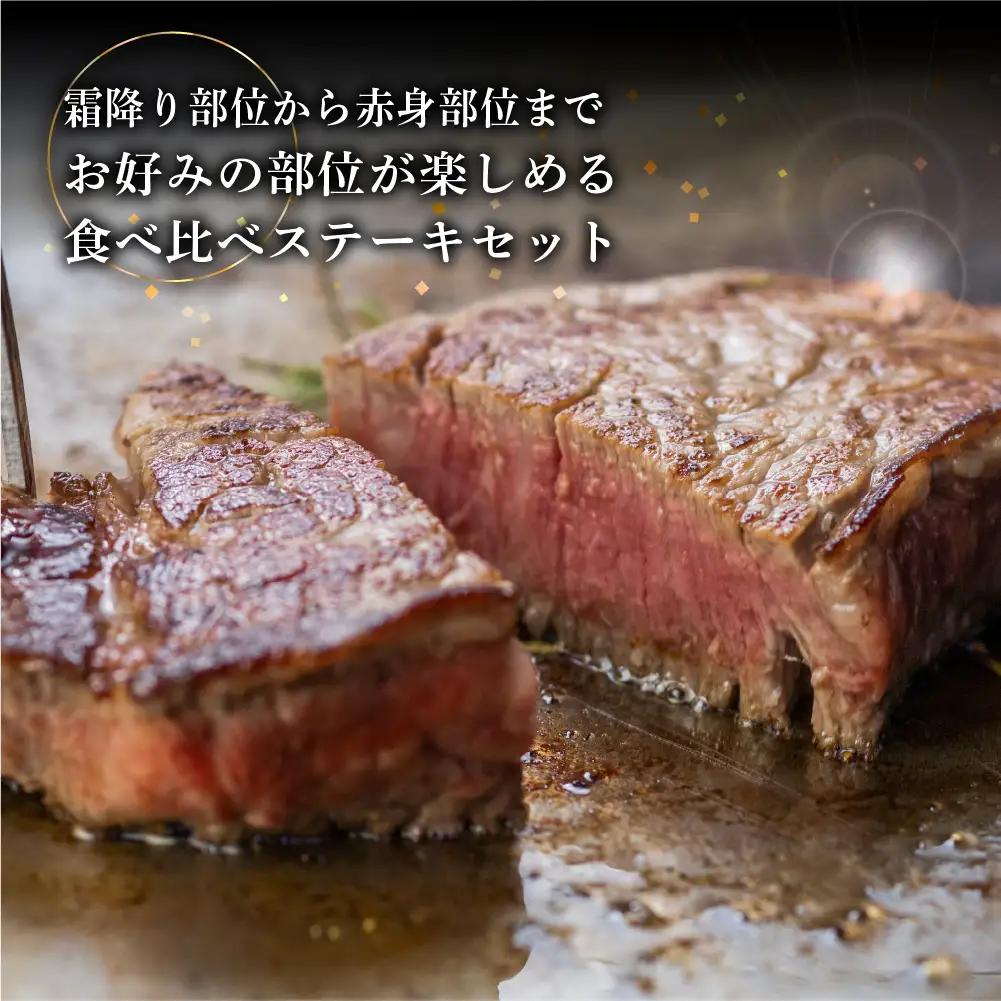 【定期便 5回】飛騨牛厳選ステーキ 5ヶ月定期便 【70-F】