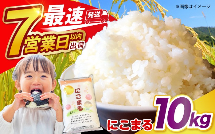 
                  米 ＜スピード発送＞【3年連続特A獲得】長崎県産 精米 にこまる10kg / 白米 米 お米 こめ コメ ライス ご飯 ごはん 国産 お取り寄せ 仕送り 人気 おすすめ 贈り物 産地直送 精米 おこめ kome 送料無料 / 南島原市 / 大松屋商店 [SDR005]
                