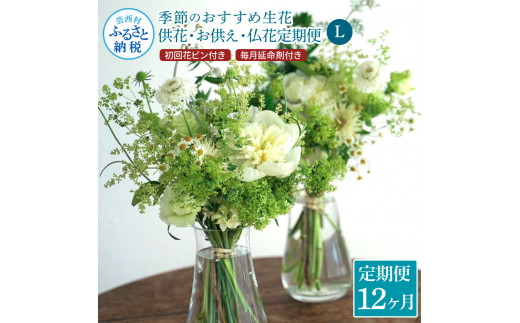 
《12ヵ月定期便》花束一対 お供え 初回花瓶付L 定期便 定期コース 全12回 初回花瓶付き 延命剤付き お供え 花束 一対 花びん 生花 仏花 供花 花束 はな 花 法要 お盆 お花 おすすめ
