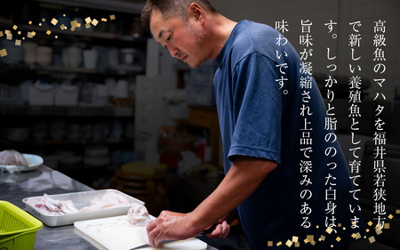 【着日指定】【冷蔵でお届け】若狭まはた刺身と姿煮のセット2人前