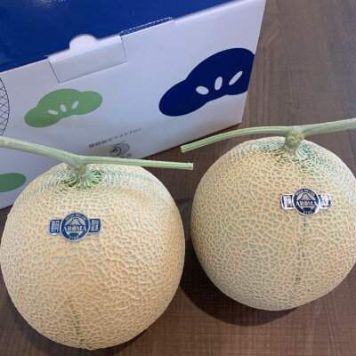 【ふるさと納税】訳あり静岡温室マスクメロン2個入_ メロン マスクメロン めろん ますくめろん 訳あり 2個 大玉 温室 果物 くだもの フルーツ 甘い デザート 産直 産地直送 家庭用 自宅用 静岡県 送料無料 【配送不可地域：離島・北海道・沖縄県】【1438410】