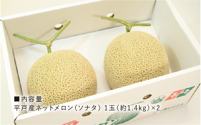【12月上旬頃お届け】＜先行予約＞【ていねいに育てた高級果物】平戸市産 ネットメロン「 ソナタ 」[KAB097]/ 長崎 平戸 果物 フルーツ メロン アールスメロン ソナタ 糖度14度 贈物 贈答