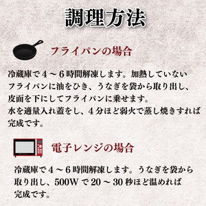 うなぎ 鰻 国産 500g 2尾 うなぎ白焼 タレ付き 鰻