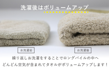 （今治タオルブランド認定）HOME バスタオル 2枚セット（モカ）【I000440MOC】