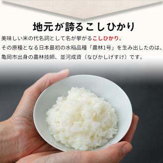 【9月より新米】米 京都丹波米 10kg(こしひかり5kg・きぬひかり5kg) 米 白米 ※精米したてを お届け◇◆◇ ｜ 米 食べ比べ 緊急支援 米・食味鑑定士 厳選 コシヒカリ 京都丹波産