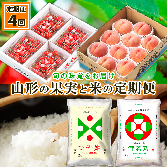 【定期便4回】山形の果実と米の定期便 【令和6年産先行予