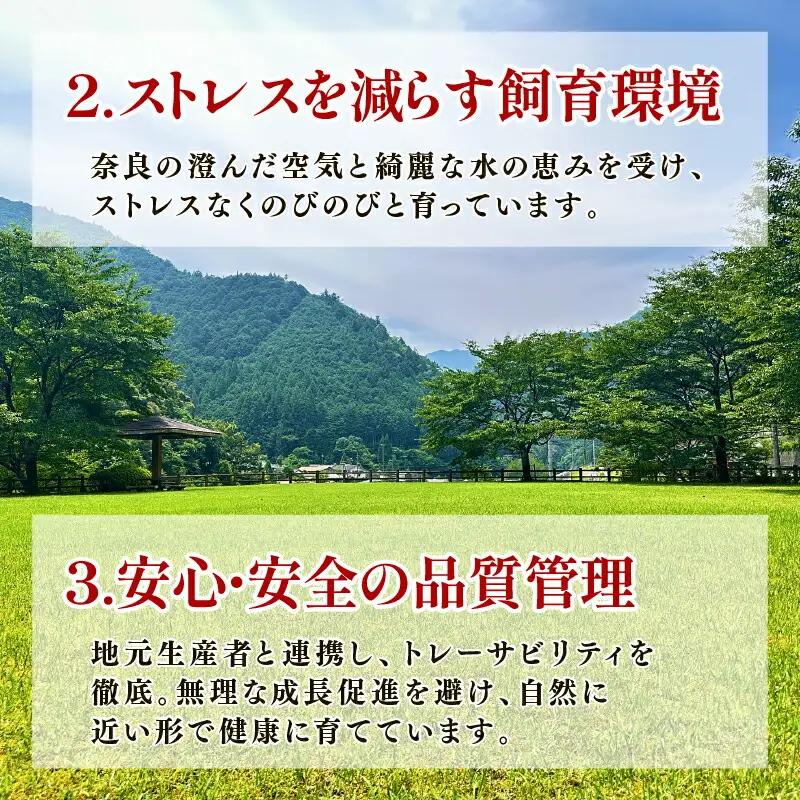 豚肉 ヤマトポークロース 1kg | 豚肉 I-240