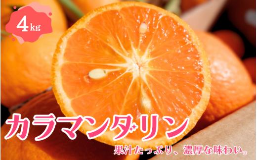 【先行予約】カラマンダリン 4kg 【2024年4月下旬～5月下旬頃より順次発送】 / みかん ミカン 蜜柑 カラマンダリン 和歌山 田辺市 紀州 くだもの 柑橘 フルーツ 【aoi008】