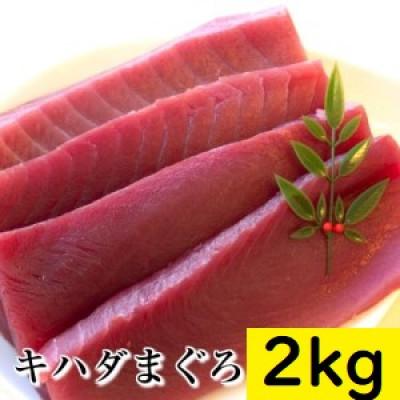 ふるさと納税 須崎市 キハダマグロ赤身　2kg