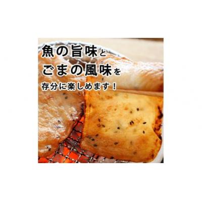ふるさと納税 小松島市 ごま天 12枚 練り物 天ぷら おつまみ おかず さつまあげ さつま揚げ 個包装 小分け |  | 01
