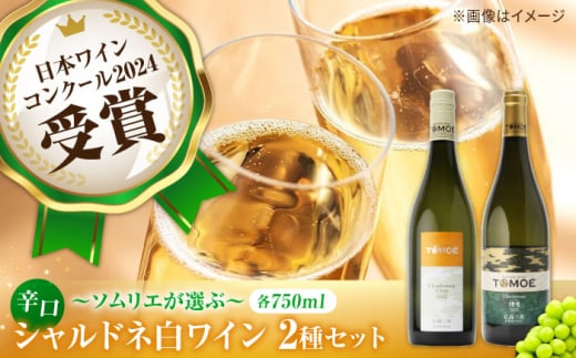 ～ソムリエが選ぶ～冷やして飲みたい三次の シャルドネ 白ワイン 2本セット 受賞 飲み比べ ワインセット ギフト 三次市/広島三次ワイナリー [APAZ025]