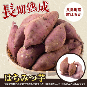 【12月中旬以降発送】〈数量限定〉和喜雄さんといつみさんのはちみつ芋(計3kg)【飯尾和喜雄農園】iio-7086