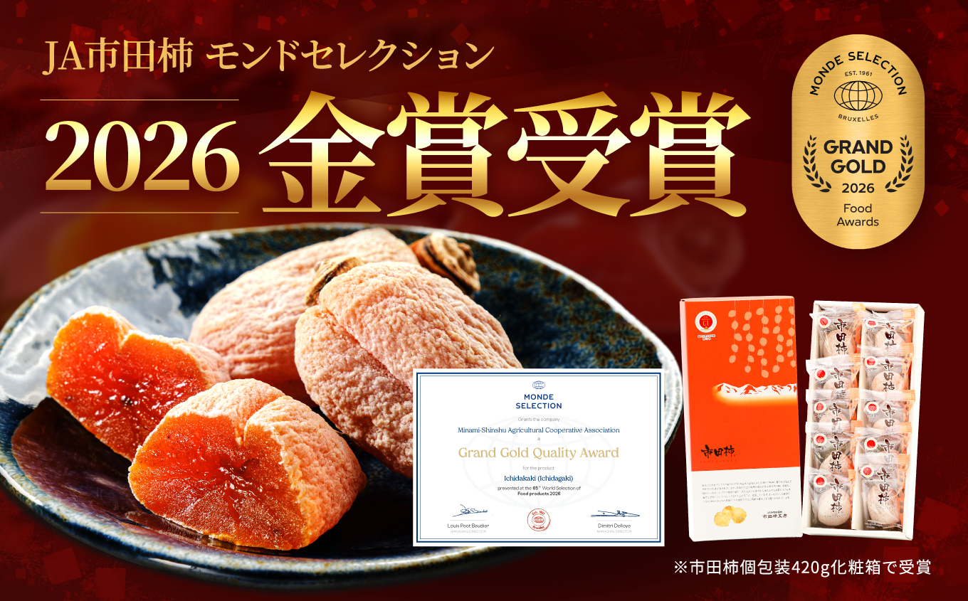 市田柿 贈答用 化粧箱入り 個包装 大粒 10粒 約280g ＜2027年1月上旬～順次発送＞ ＪＡみなみ信州ＤＭセンター | 柿 かき 干し柿 干しがき 市田柿 信州 国産 特産品 ドライフルーツ 