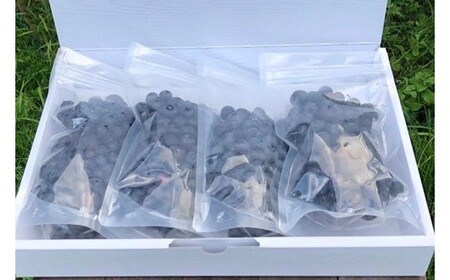 【季節限定】農薬・化学肥料不使用！愛情と栄養たっぷり冷凍ブルーベリー（1kg） 南小国産 冷凍 ブルーベリー 1kg 摘み立て 生 果物 新鮮 フレッシュ 小分け 農薬不使用 化学肥料不使用 産地直送