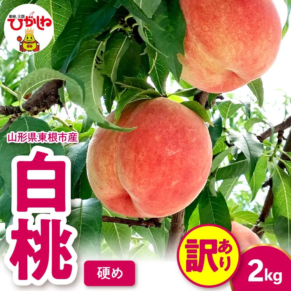 2026年産 【訳あり】白桃 (硬め) 2kg 桃 白桃 もも 訳あり