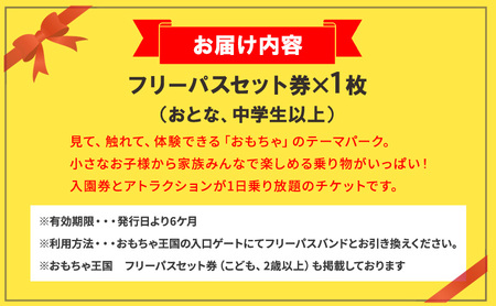 おもちゃ 王国 フリーパス セット 券 （おとな、中学生以上） 入場券 チケット  優待券 
