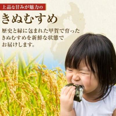 ふるさと納税 甲賀市 【令和7年産】近江米きぬむすめ白米5kg |  | 02