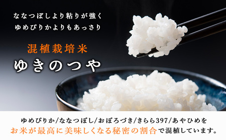 北斗米ゆきのつや20kg（5kg×4袋） お米 北海道米 北海道産お米 ふるさと納税米 お米 道産米