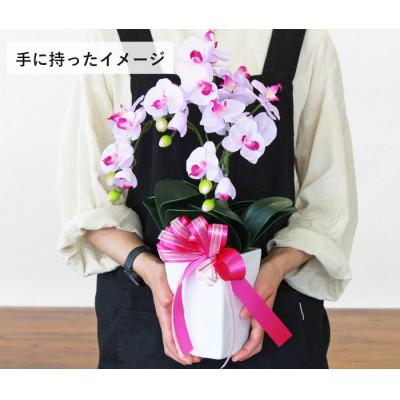 ふるさと納税 川越市 胡蝶蘭 造花 シルクフラワーのミニ胡蝶蘭の鉢植 3本立 CT触媒 ライトパープル |  | 01
