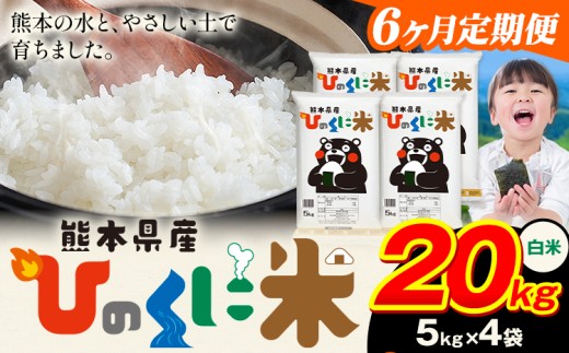 【6ヶ月定期便】 白米 ひのくに米 20kg 《お申込み翌月から出荷》 食品 米 こめ コメ 熊本県産 ふるさと納税 お米 おこめ 熊本