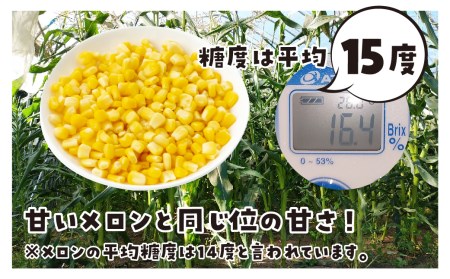 《先行予約》《期間限定・数量限定》甘い！飛騨のトウモロコシ ゴールドラッシュ 4kg とうもろこし [B0224] syun31