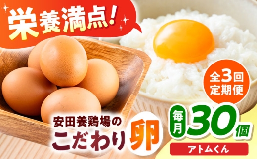 【全3回定期便】安田養鶏場の卵 アトムくん 30個入り 横須賀市 産地直送 割れ保証付き たまご 黄身 濃厚 卵 玉子 タマゴ 鶏卵  【安田養鶏場】 [AKHN009]