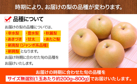 先行予約 くまもと 梨 訳あり 熊本県産 約5kg 6～17玉 フルーツ 予約 秋 旬 クール便 《2024年8月末旬-10月中旬頃より出荷予定》 SDGs 梨 先行予約 なし 果物 デザート ギフト