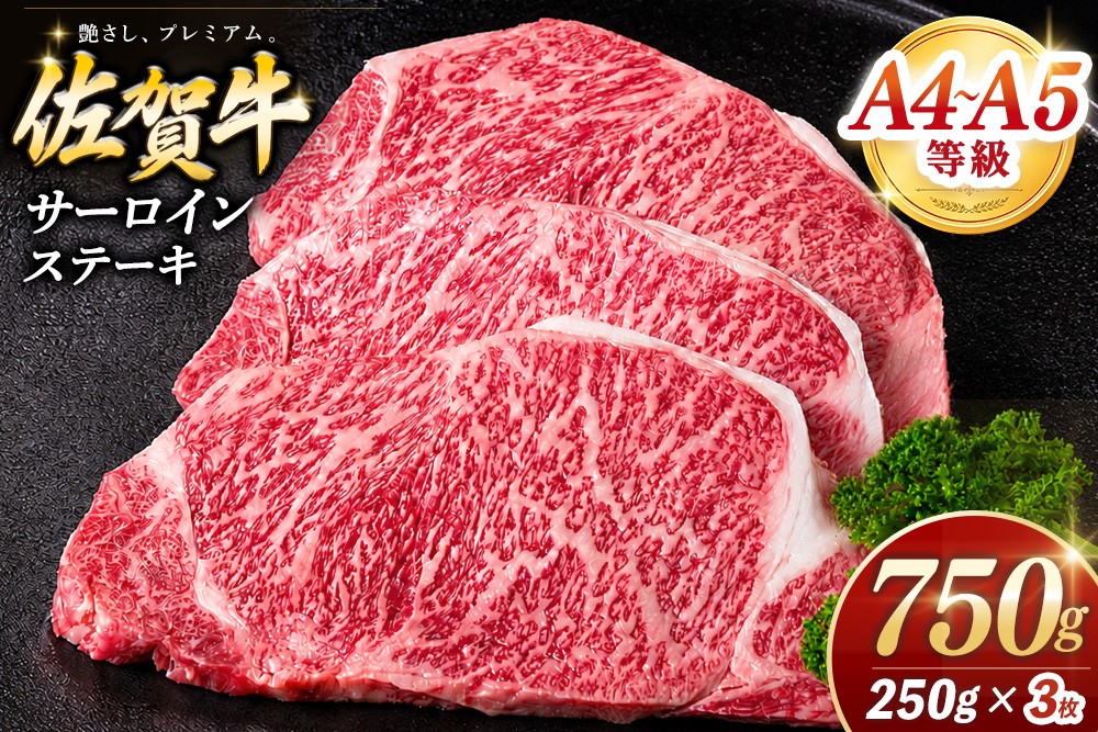 
                  佐賀牛 サーロインステーキ 250g×3枚【霜降りサーロイン ステーキ用 贈答用 高級肉 濃厚 サシ 美味しい 絶品 やわらか クリスマス パーティー イベント お祝い ブランド肉】K030147
                