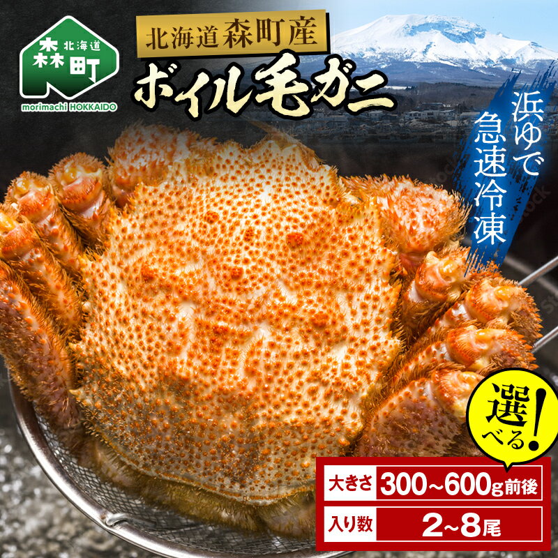 【ふるさと納税】【選べる容量！発送月】【訳あり】毛ガニ 冷凍 ボイル 北海道・噴火湾産 約300g～600g前後 新物 2025年6月～7月水揚げ ＜海鮮問屋　株式会社　瑞宝＞ かに カニ 蟹 がに 森町 北海道 毛蟹 毛がに 毛かに 毛カニ mr1-0994var