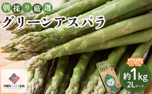 2026年産グリーンアスパラ (春芽) 2L 1kg ランキング アスパラ アスパラガス グリーンアスパラ 朝どれ 新鮮 野菜 サラダ BBQ 北海道アスパラガス 北海道 美幌町 ふるさと納税 人気 おすすめ【配送不可地域：離島】