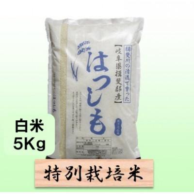 ふるさと納税 池田町 【令和7年産】特別栽培米 5kg【白米】(ハツシモ)