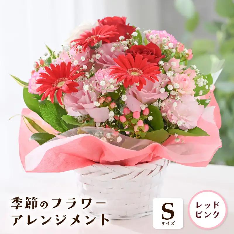 季節のフラワーアレンジメント S (レッド・ピンク) 花束 生花 プレゼント [A-20711_01]