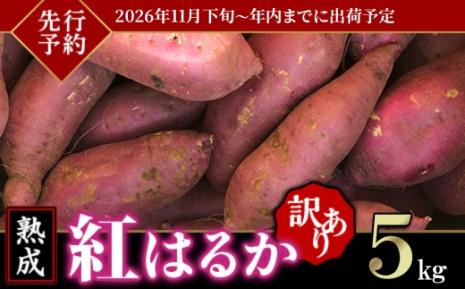 【 訳あり 】茨城県産 熟成さつまいも「 紅はるか 」 5kg 【 2026年11月下旬頃～年内までに出荷 】【 さつまいも 紅はるか 芋 サツマイモ 甘い 焼き芋 スイートポテト 茨城県産 大容量 不揃い ねっとり 】