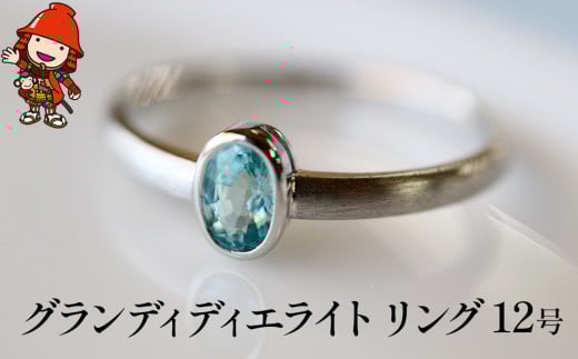 グランディディエライト 指輪 ｜ リング 12号 レディース PT900 プラチナ アクセサリー 婚約指輪 プロポーズ 結婚指輪 誕生日 婚約 結婚 母の日 プレゼント 祝 記念日 女性 贈り物 大分県 中津市