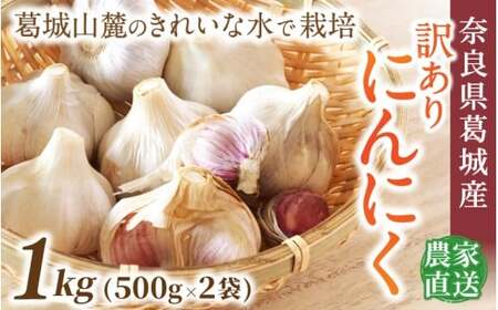 にんにく 奈良県葛城産 訳あり 約1kg(500g×2袋)  【入金確認後１か月以内に発送】葛城市【smlk017】